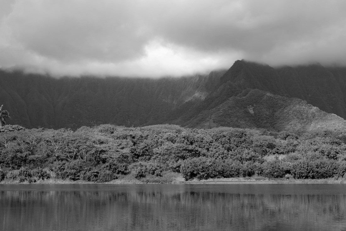 Noah Jigsaw Puzzle Ahuimanu Stream in Kahaluu, Oahu, Hawaii. Stream in foreground and Ko'olau mountains in the background. Surrounding landscape includes palm trees and tropical forest in black white 2000 pieces