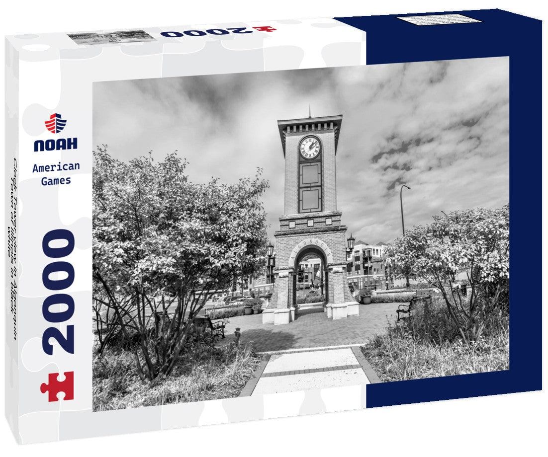 Noah Jigsaw Puzzle Clock Tower view in Algonquin Town of Illinois in black white 2000 pieces