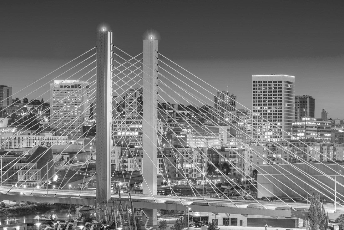 Tacoma, Washington, USA cityscape with East 21st Street Bridge at night 2000pc PuzzleBlack and White