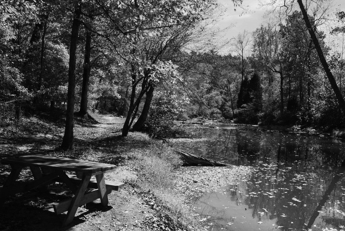 Tuscaloosa, Alabama: Scenic views of the woods at Tannehill Ironworks Historical State Park 2000pc PuzzleBlack and White