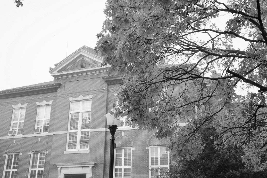National Historic District in Harrison, Arkansas during autumn 2000pc PuzzleBlack and White