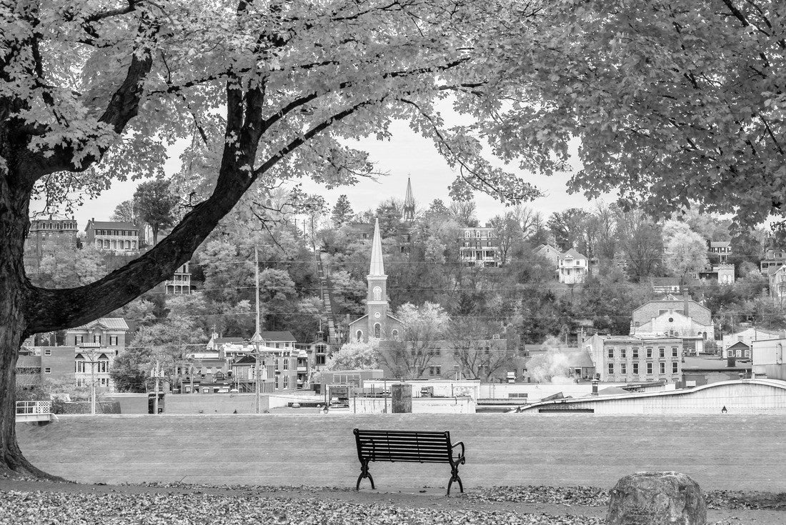 Grant Park view at autumn in Galena Town of Illinois 2000pc PuzzleBlack and White