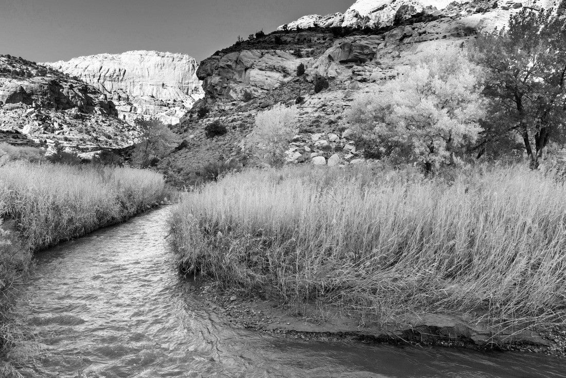 Fremont River in Capitol Reef National Park near Torrey, Utah 2000pc PuzzleBlack and White