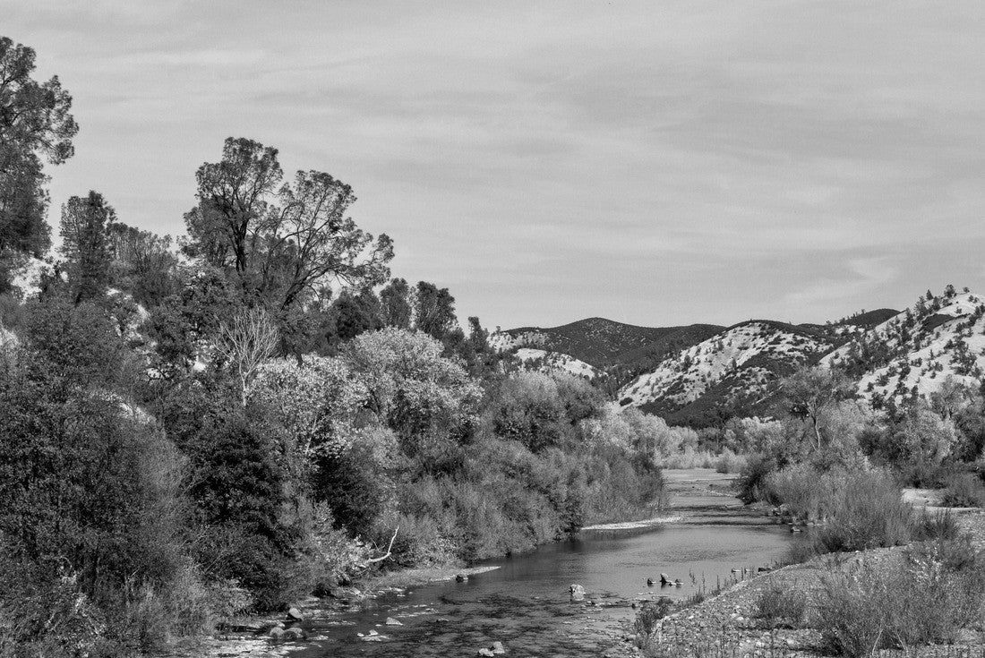 Stony creek Autumn colors Colusa County California 2000pc PuzzleBlack and White