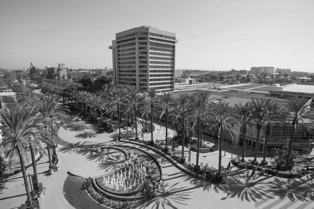 Elevated daytime view of the Anaheim, California skyline 2000pc PuzzleBlack and White