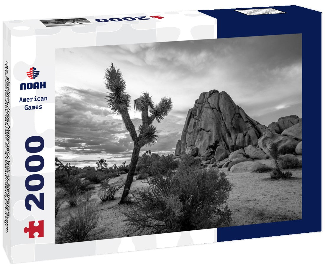 Joshua Tree National Park in California. The cloudy sunset was shot just after a big storm. This situations leaded to a breathtaking cloudy sky that took fire during sunset 2000pc PuzzleBlack and White
