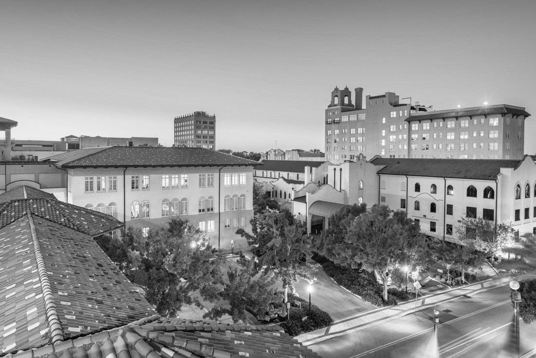 Noah Jigsaw Puzzle Lakeland, Florida, USA Cityscape at the town hall during dusk in black white 2000 pieces