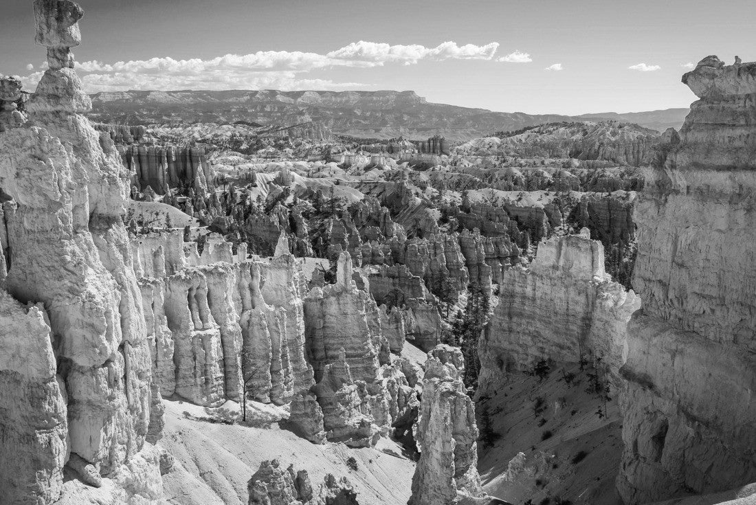 Noah Jigsaw Puzzle Bryce Canyon National Park at Navajo Loop Trail, Utah, USA in black white 2000 pieces