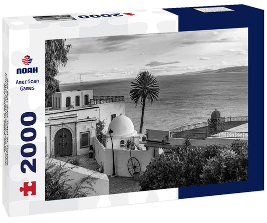 Noah Jigsaw Puzzle Sidi Bou Said Town in Tunisia Known for extensive use of blue and white in black white 2000 pieces