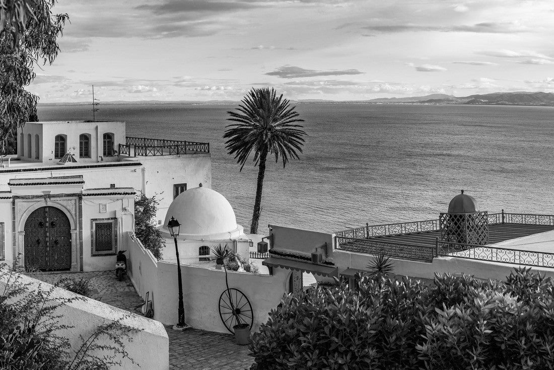 Noah Jigsaw Puzzle Sidi Bou Said Town in Tunisia Known for extensive use of blue and white in black white 2000 pieces