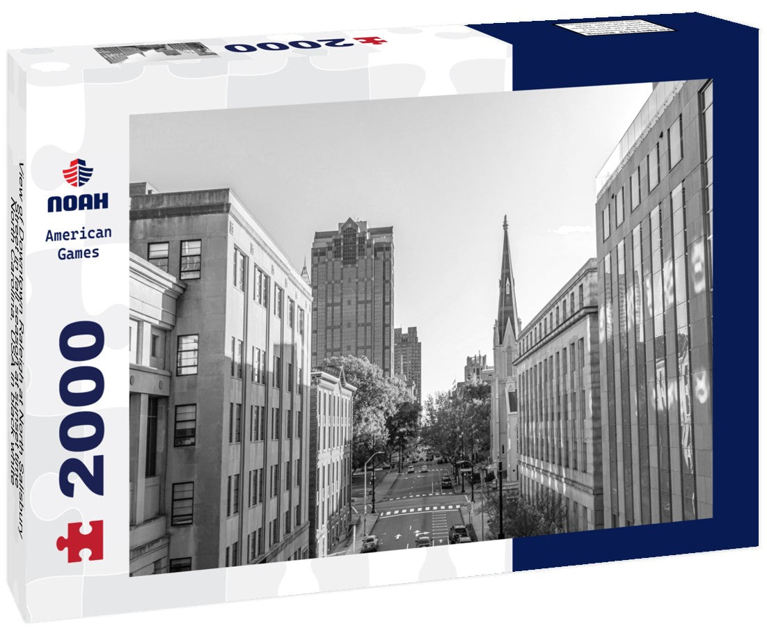 Downtown Raleigh at North Salisbury Street in fall season at sunset time, North Carolina, USA 2000pc PuzzleBlack and White