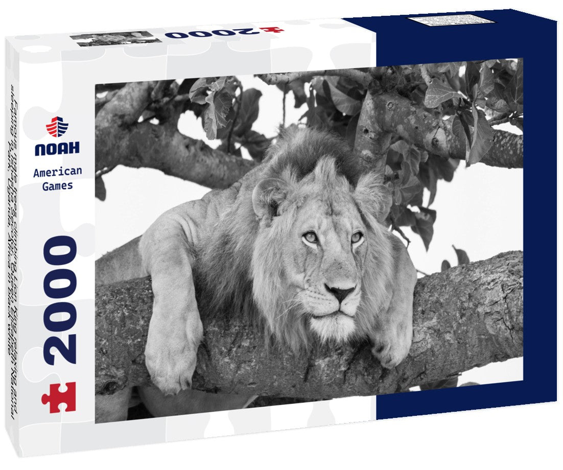 Famous male trees climbing Lion King relaxing and sleeping in Ishasha Secotor, Queen Elizabeth National Park, Uganda, Africa 2000pc PuzzleBlack and White