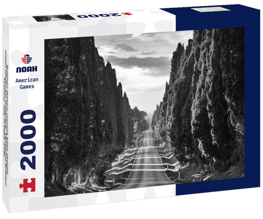 Noah Jigsaw Puzzle Bolgheri famous cypress trees straight ahead boulevard landscape. Maremma emblem, Tuscany, Italy in black white 2000 pieces