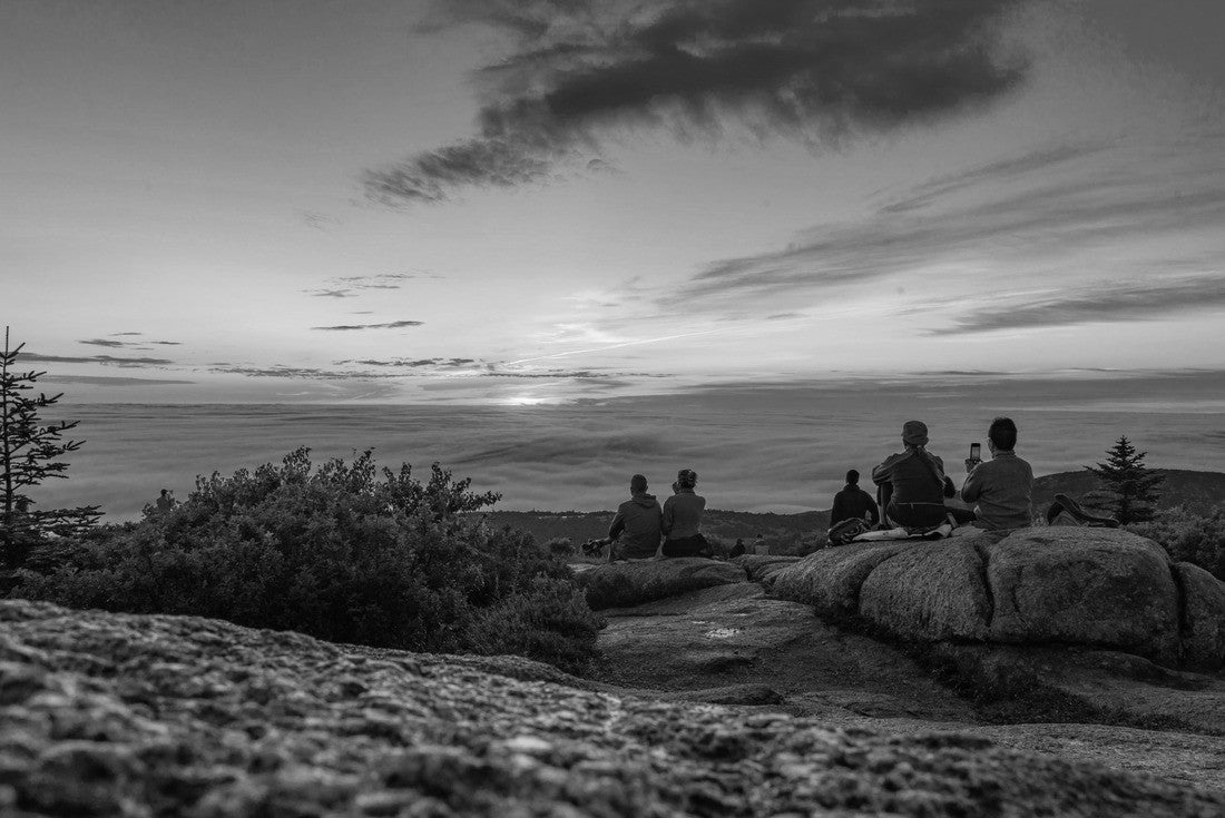 Noah Jigsaw Puzzle View of the Acadia National Park on Maine in black white 2000 pieces