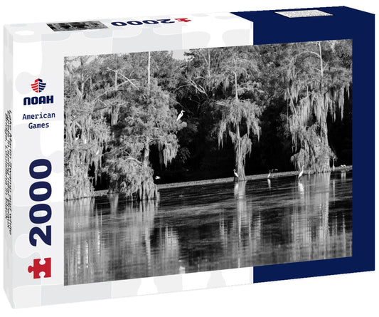 Noah Jigsaw Puzzle Lake Martin Swamp and white Egrets in spring near Breaux Bridge, Louisiana in black white 2000 pieces