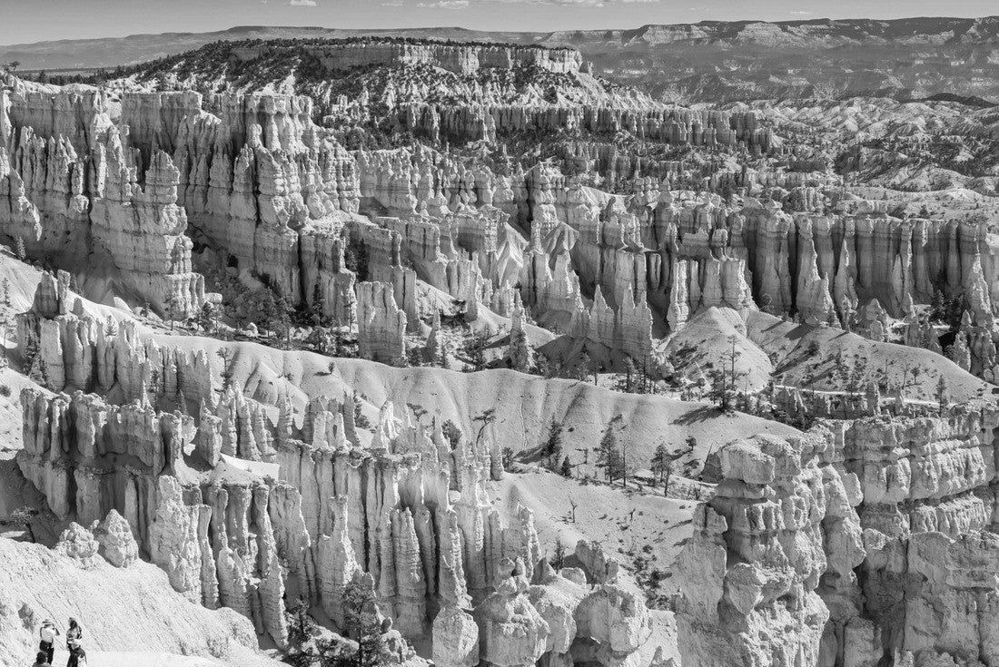 Noah Jigsaw Puzzle Bryce Canyon National Park, Utah, USA in black white 2000 pieces