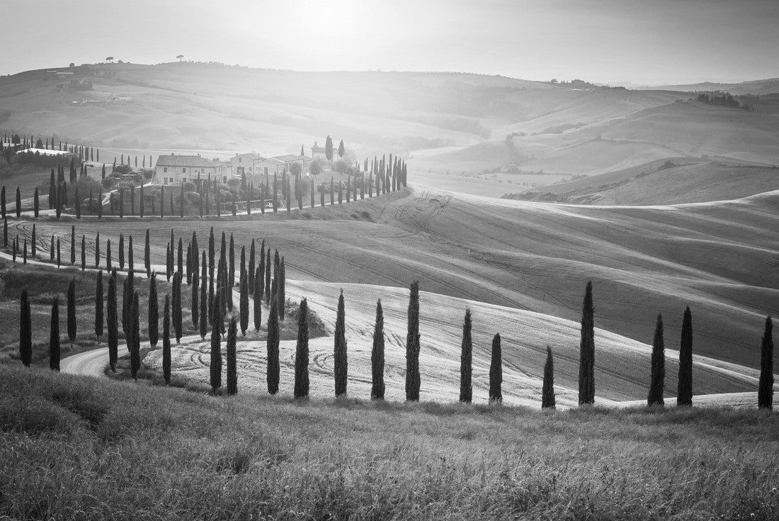 Well-known Tuscan landscape with grain fields, cypress trees and houses on the hills at sunset. Summer landscape with winding road in Tuscany, Italy 2000pc PuzzleBlack and White
