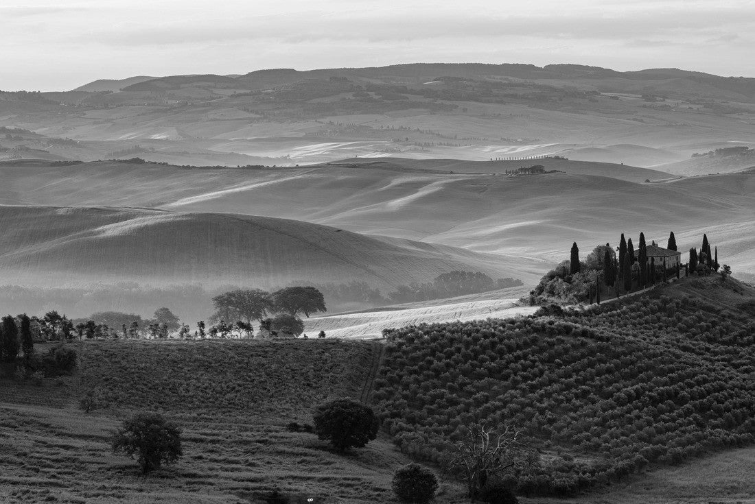 Noah Jigsaw Puzzle Tuscany - landscape panorama, hills and meadow, Tuscany - Italy in black white 2000 pieces