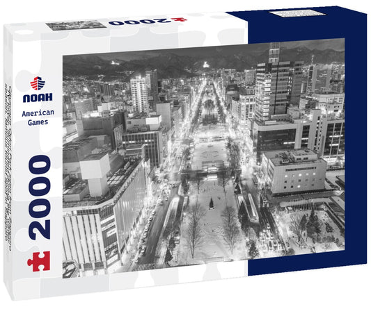 Noah Jigsaw Puzzle Cityscape Odori Park seen from Sapporo TV tower, illuminated during the winter season, famous tourist spot in Sapporo Snow Festival in black white 2000 pieces