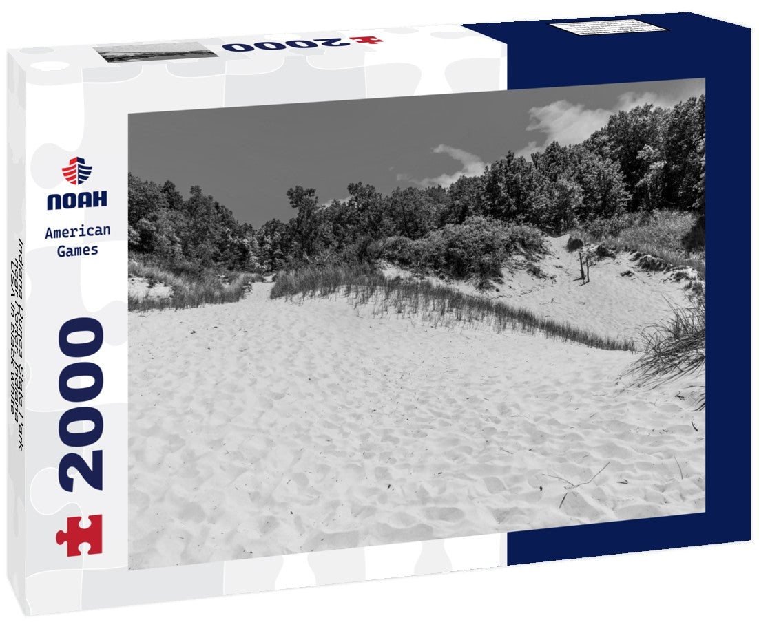 Indiana Dunes State Park near Porter, Indiana, USA 2000pc PuzzleBlack and White