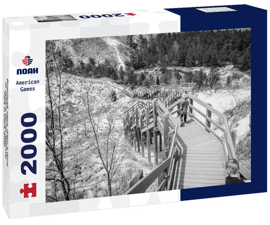 Noah Jigsaw Puzzle Boardwalk steps down a dune at Indiana Dunes National Park in black white 2000 pieces