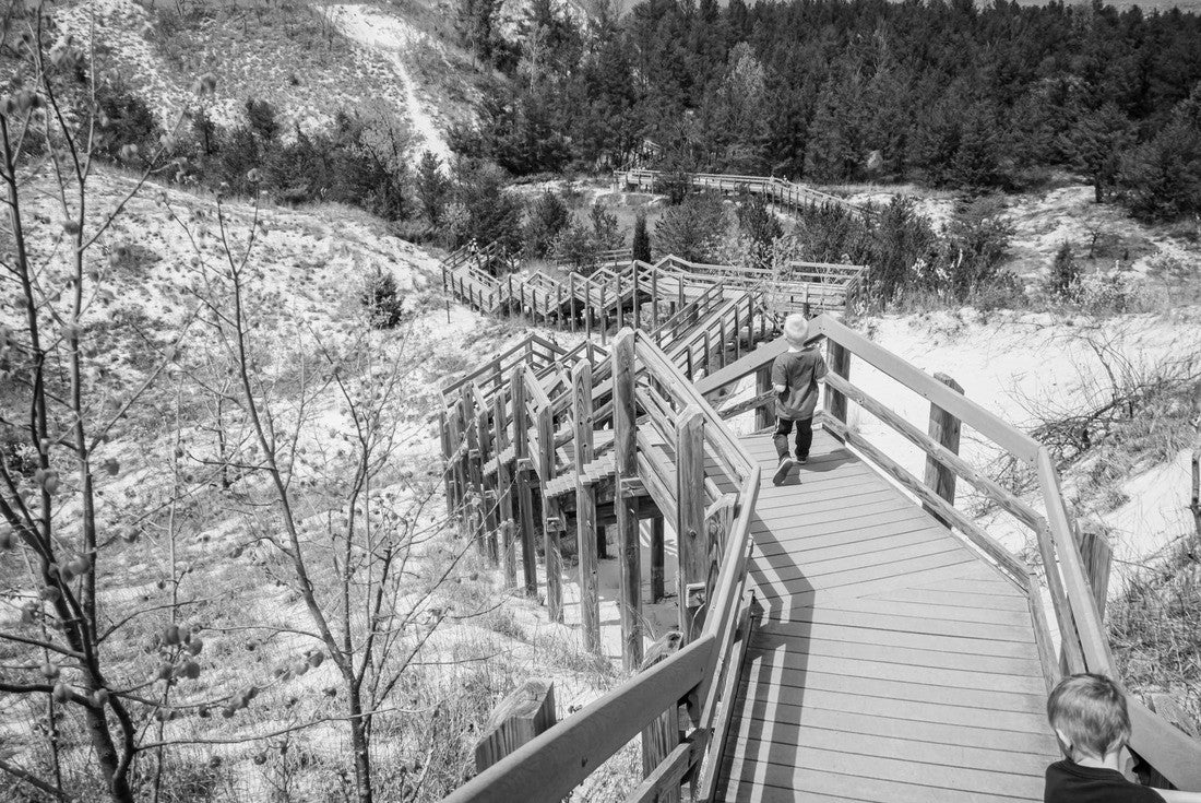 Noah Jigsaw Puzzle Boardwalk steps down a dune at Indiana Dunes National Park in black white 2000 pieces