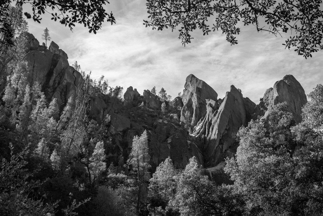 Noah Jigsaw Puzzle The Jagged Cliffs at Pinnacles National Park in California in black white 2000 pieces