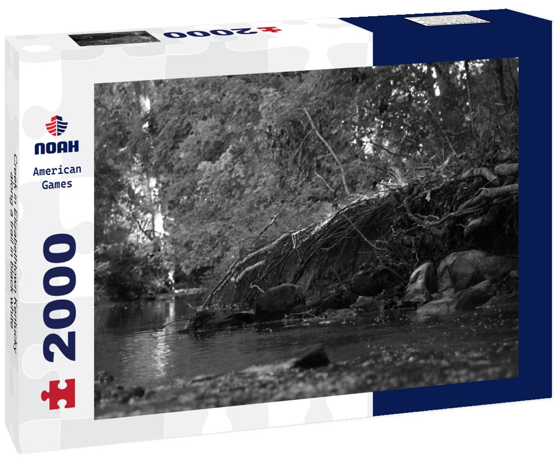 Creek in Elizabethtown Kentucky along a trail 2000pc PuzzleBlack and White