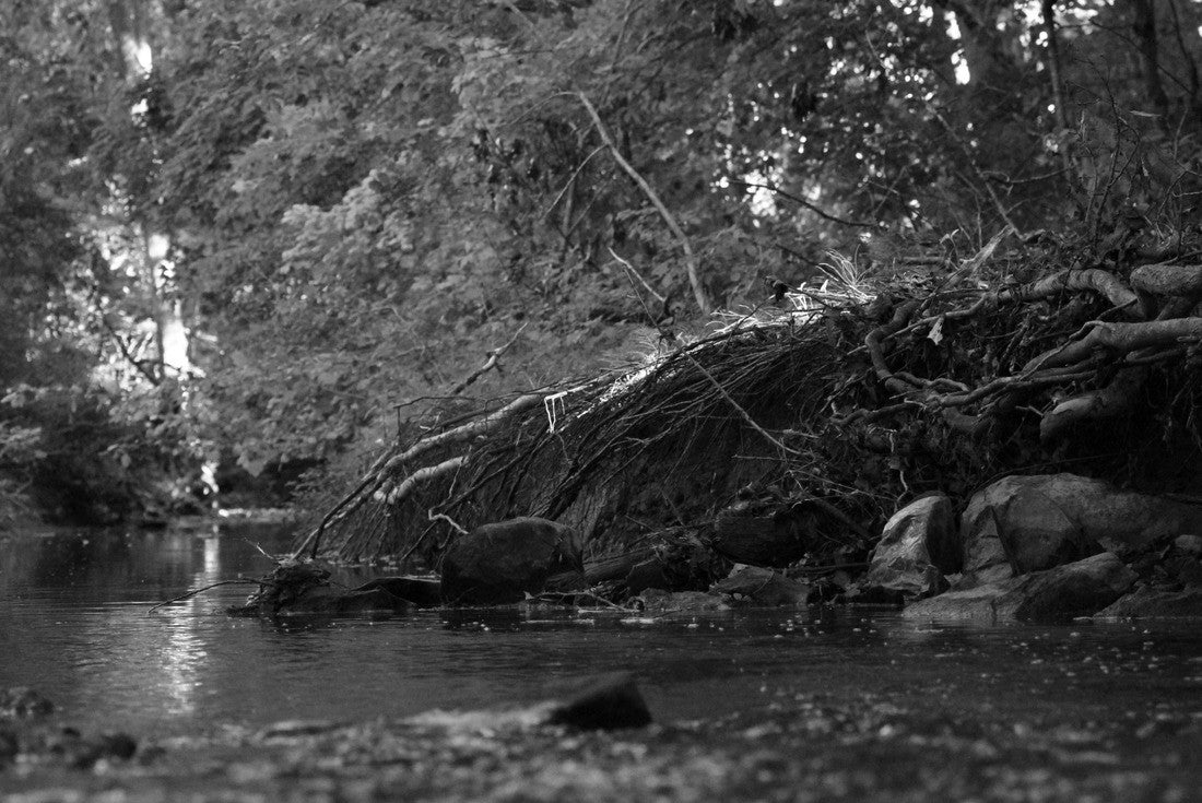 Creek in Elizabethtown Kentucky along a trail 2000pc PuzzleBlack and White