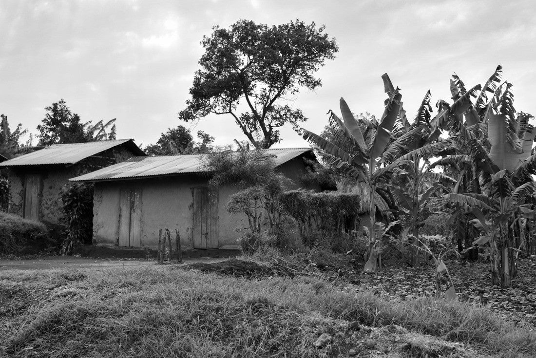 Noah Jigsaw Puzzle House and Banana Plantation in Rural Uganda in black white 2000 pieces