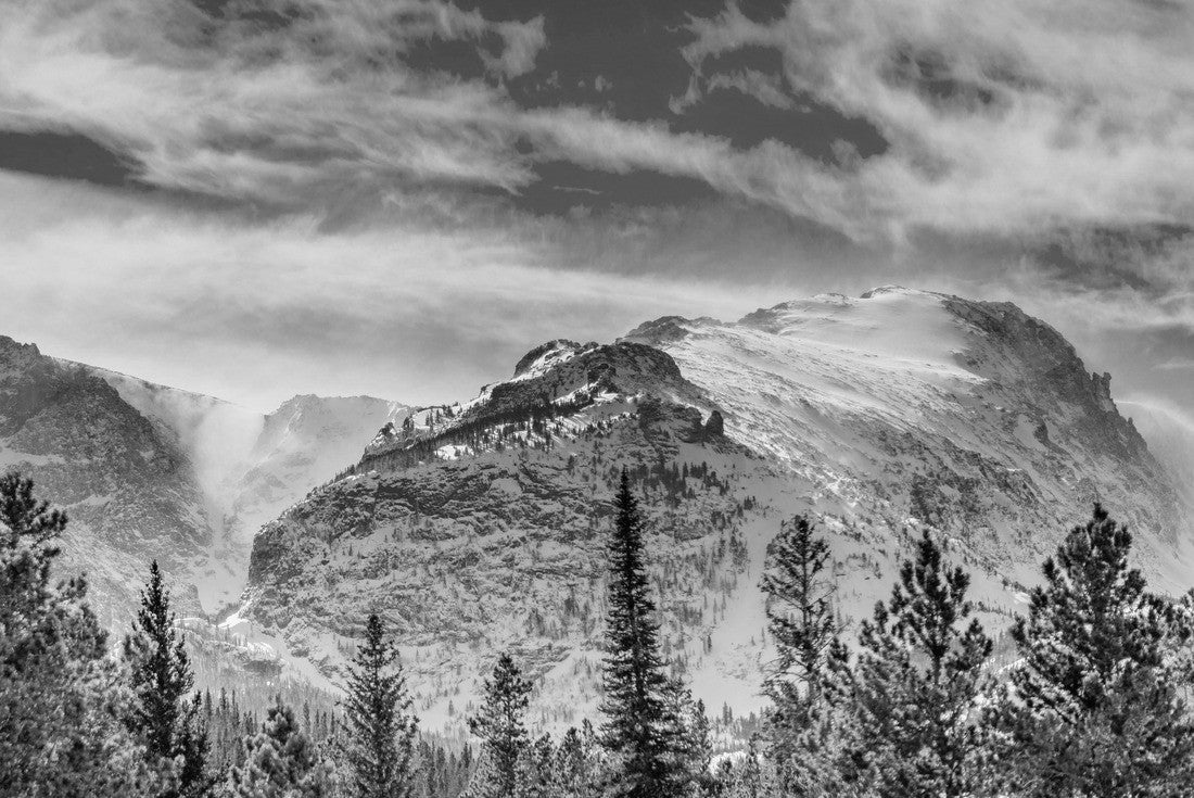 Noah Jigsaw Puzzle Rocky mountain national park mountains and trees in black white 2000 pieces