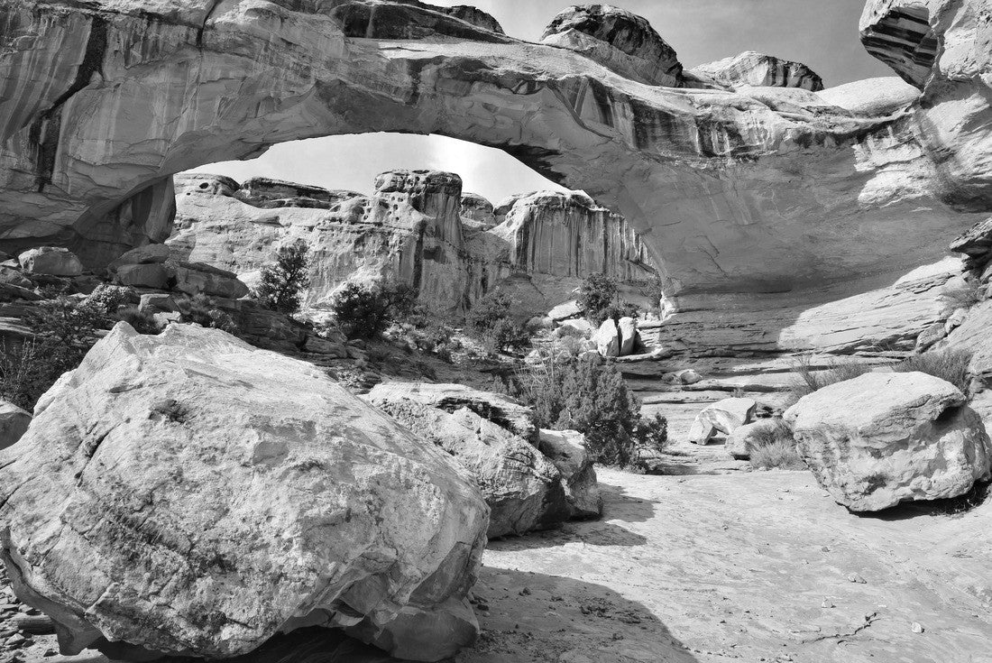 Noah Jigsaw Puzzle Capitol Reef National Park and surrounding area. Capitol Reef is one of five national parks in the state of Utah, USA Majestic red rock cliffs and natural bridges are common sites in the park in black white 2000 pieces