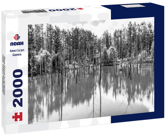 Noah Jigsaw Puzzle Blue Pond in summer, near Patchwork Road, near Town, Hokkaido, Japan in black white 2000 pieces