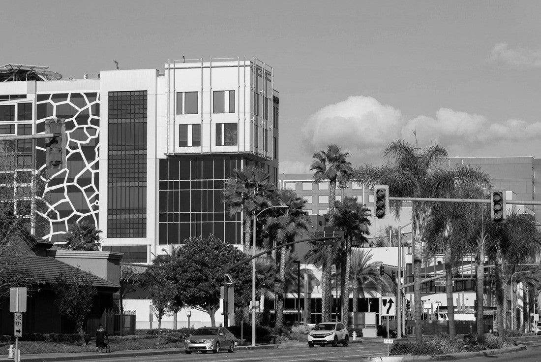 Daytime view of Buena Park, California 2000pc PuzzleBlack and White