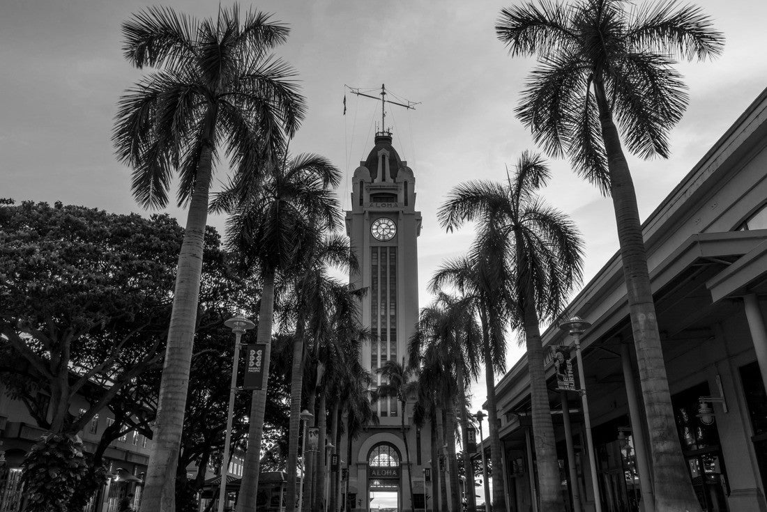 Noah Jigsaw Puzzle Honolulu tower during sunset in Honolulu in black white 2000 pieces