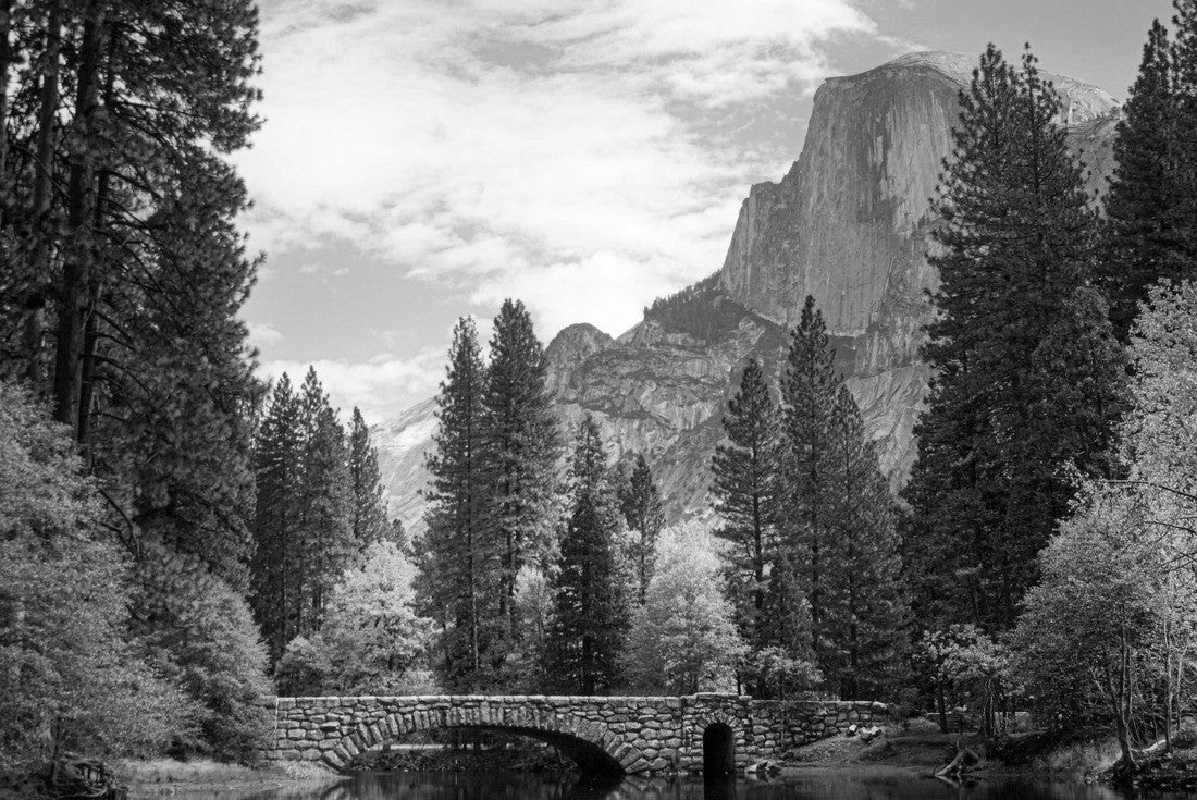 Noah Jigsaw Puzzle A vibrant fall scene of Half Dome in Yosemite National Park. Autumn colors and Half Dome from Stoneman Bridge in black white 2000 pieces