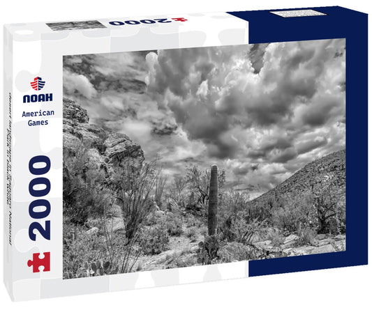Noah Jigsaw Puzzle desert landscape in Saguaro National Park in black white 2000 pieces