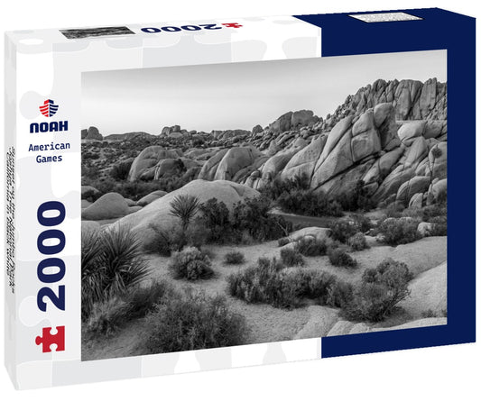Noah Jigsaw Puzzle Sunset on the Jumbo Rocks, Joshua Tree National Park, California in black white 2000 pieces
