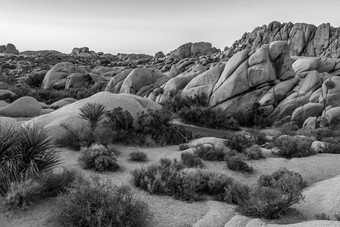 Sunset on the Jumbo Rocks, Joshua Tree National Park, California 2000pc PuzzleBlack and White