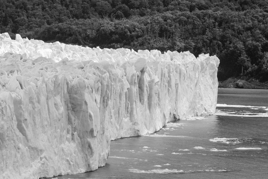 Noah Jigsaw Puzzle Glacier Bay National Park USA in black white 2000 pieces