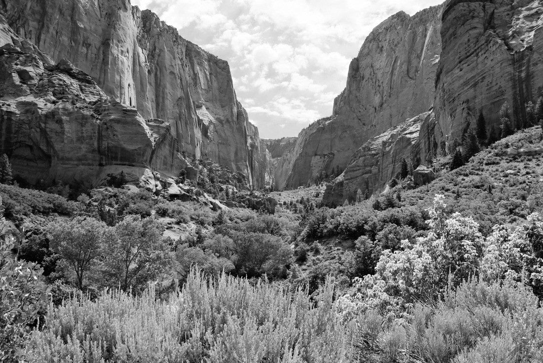 Noah Jigsaw Puzzle Zion National Park, view through the red cliffs of Kolob Canyon, USA in black white 2000 pieces