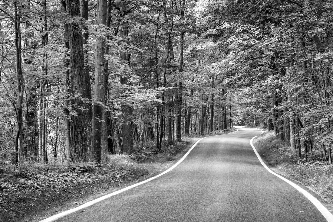 Beautiful tree-lined road in the tree tunnel on a drive through Emmet County from Harbor Springs north to Petoskey on M-119, Michigan 2000pc PuzzleBlack and White