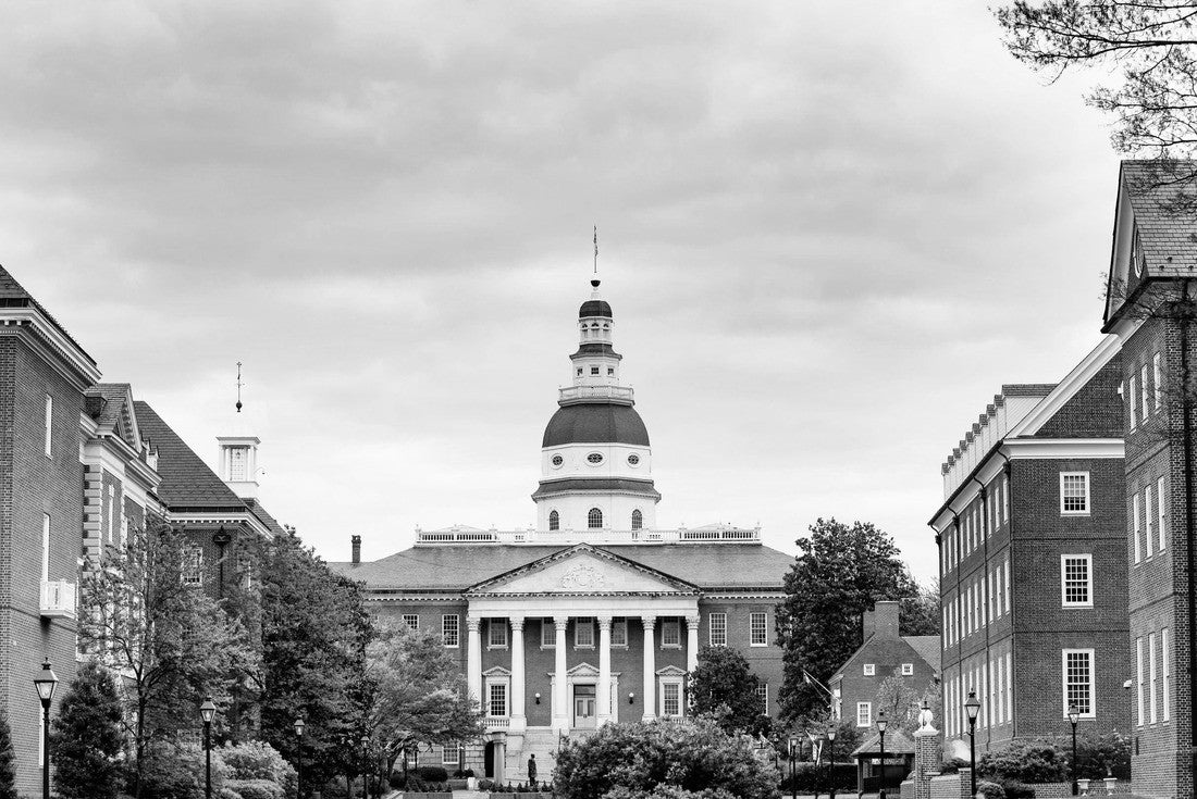 Noah Jigsaw Puzzle Bladen Street above the Maryland State House main building and the site of many historic events, was erected in 1779 in Annapolis MA, USA in black white 2000 pieces