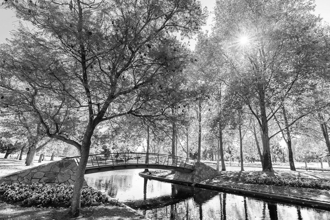 Rymill Park with bridge over the pond in Adelaide city on a sunny autumn day 2000pc PuzzleBlack and White