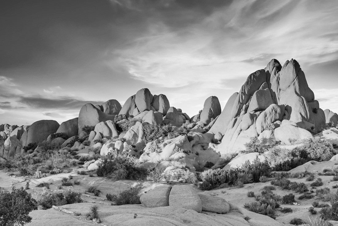 Noah Jigsaw Puzzle Rocks in Joshua Tree National Park illuminated by sunset, Mojave Desert, California in black white 2000 pieces