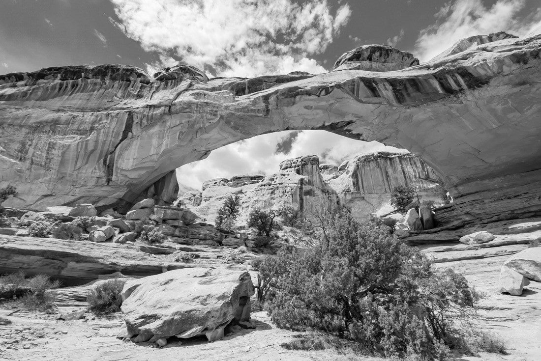 Sunny view of the Hickman Bridge of Capitol Reef National Park at Utah 2000pc PuzzleBlack and White