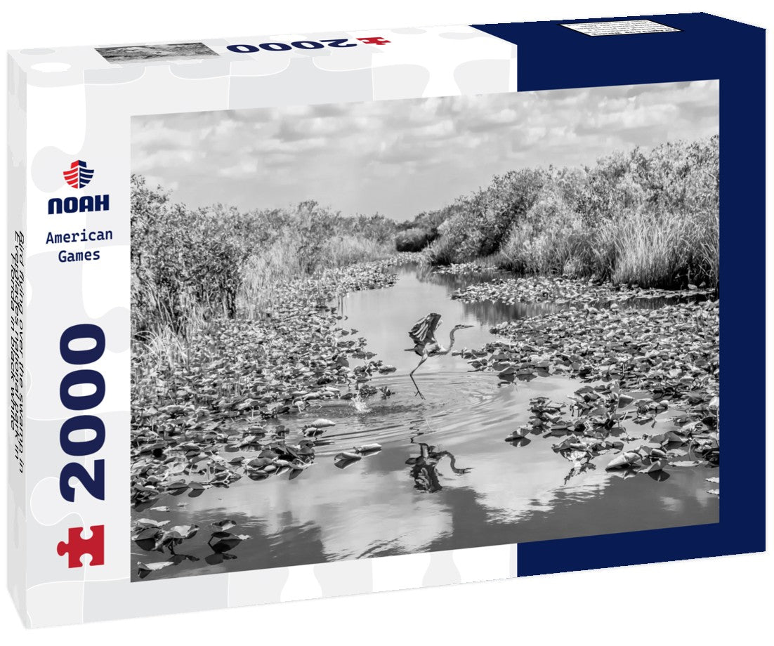 Bird flying over the swamp in Everglades national park in Florida 2000pc PuzzleBlack and White