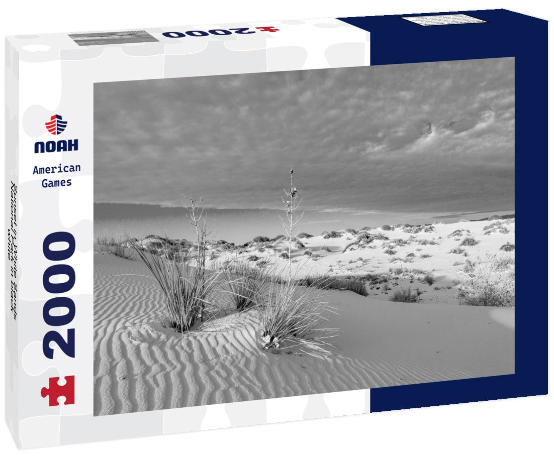 Noah Jigsaw Puzzle Sunset in White Sands National Park in black white 2000 pieces