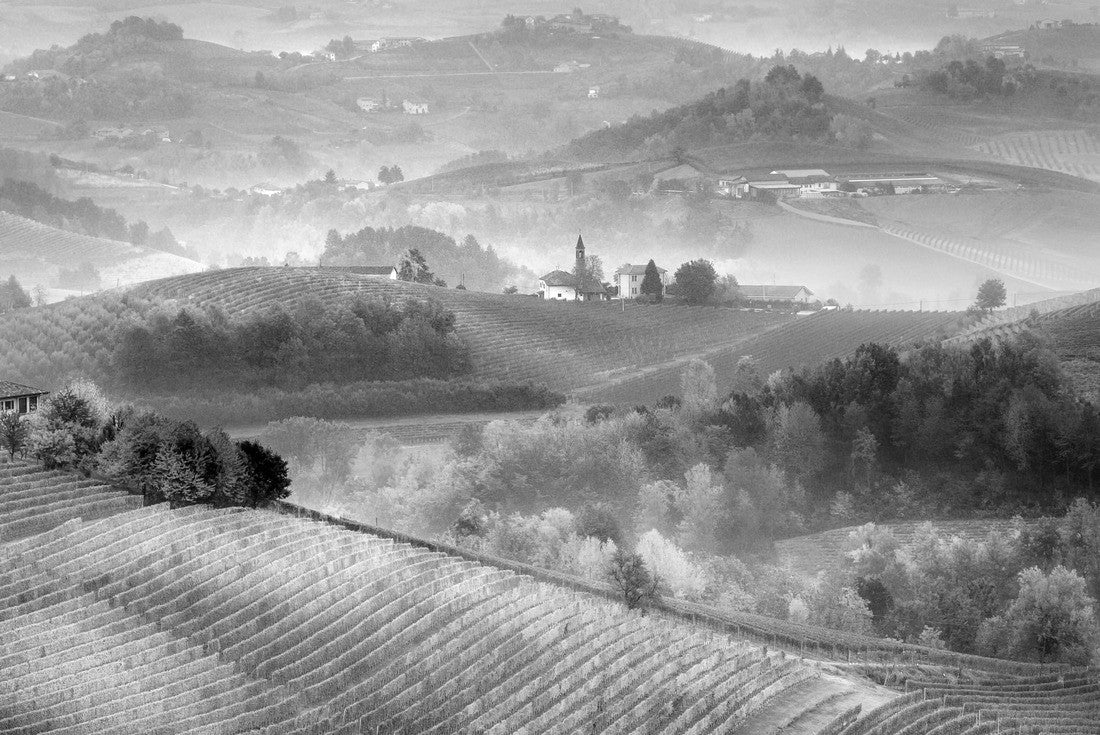 Noah Jigsaw Puzzle Sunrise on Barolo country and fog in Langhe region, Piedmont. Unesco world heritage site in Northern Italy. Agricultural vineyards and viticulture in black white 2000 pieces