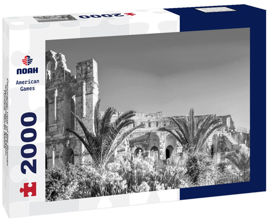Noah Jigsaw Puzzle Panoramic view of the Roman amphitheater in El Djem. Tunisia, North Africa in black white 2000 pieces